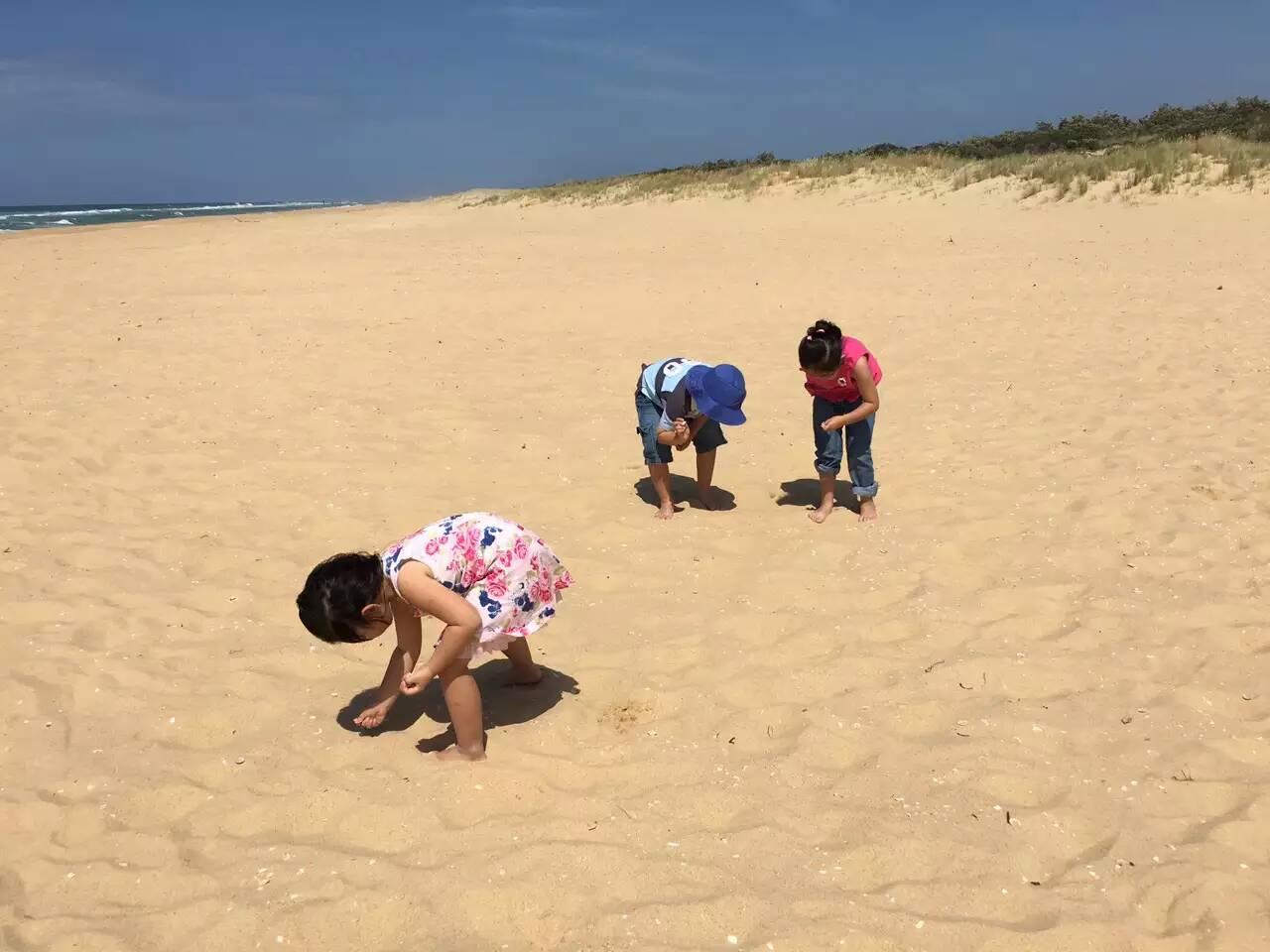 國際搬家