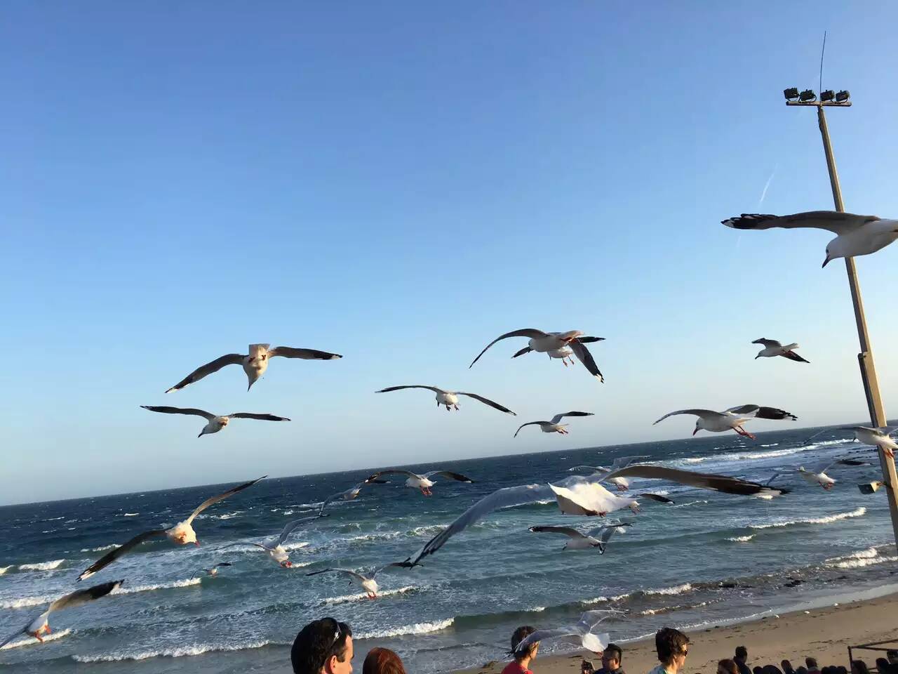 國際搬家