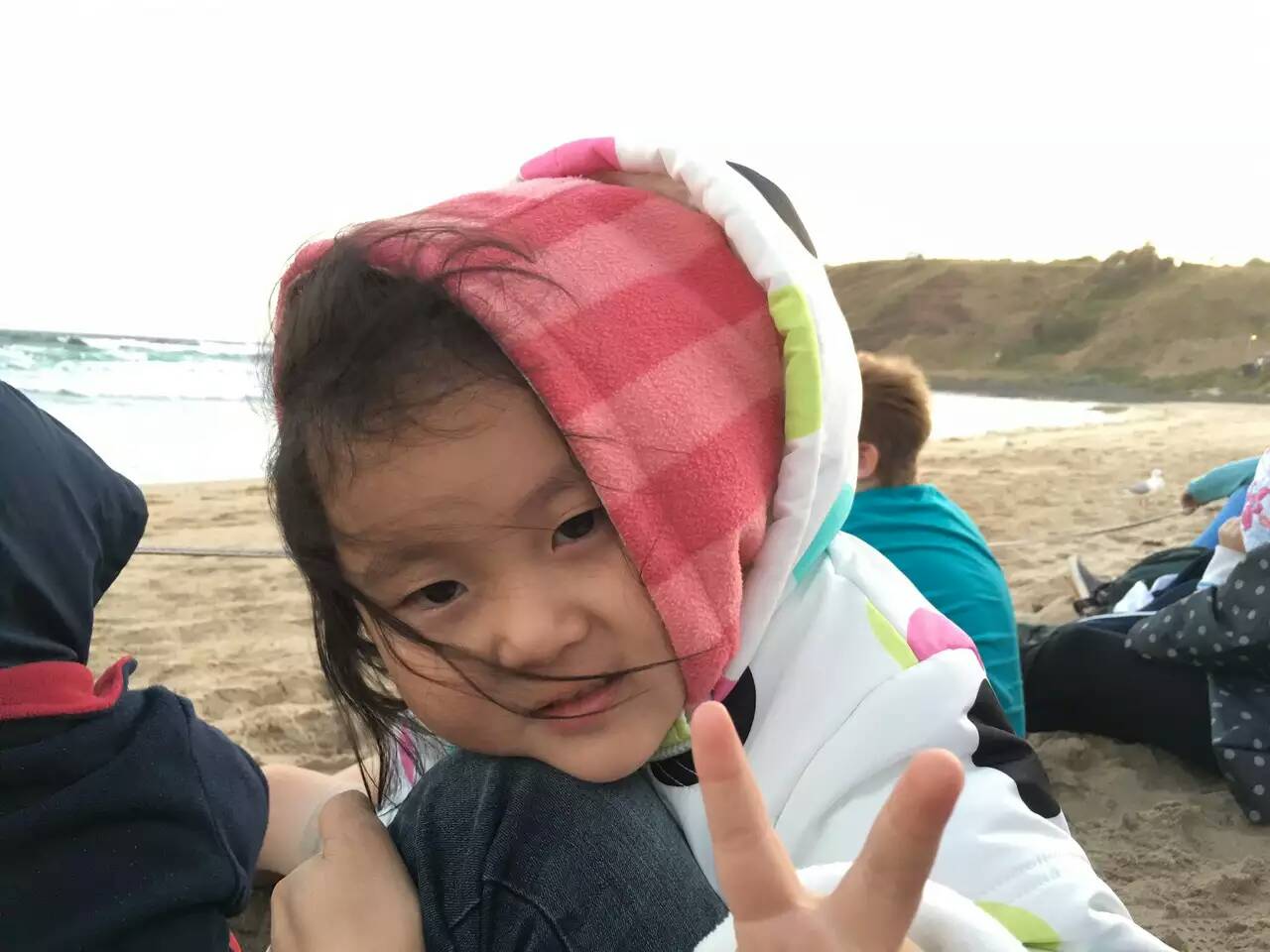 國際搬家