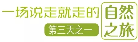 國際搬家