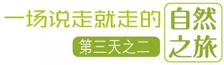 國際搬家