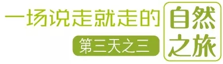 國際搬家
